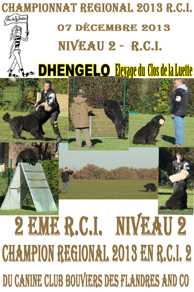 DHENGELO RCI 2x2